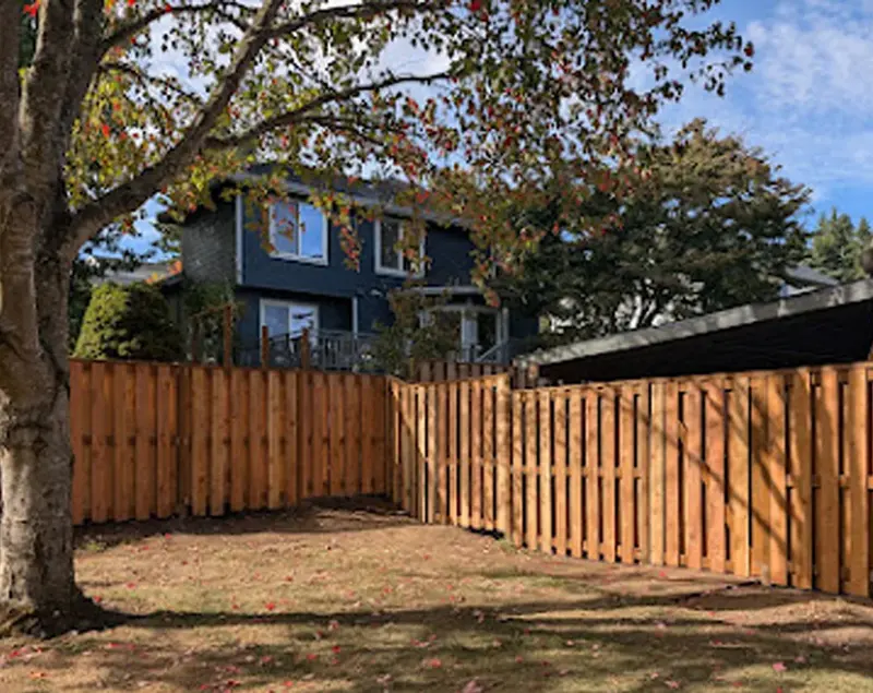New cedar privacy fence enclosing a backyard